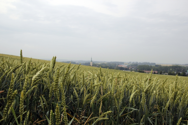 2012_ferienlager04_039