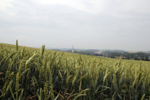 Foto: 2012 Ferienlager Tag4