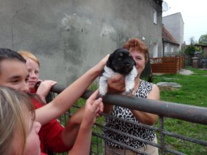 Foto: 2012 Otyn