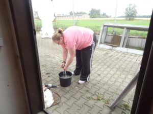 Foto: 2015 Arbeitseinsatz