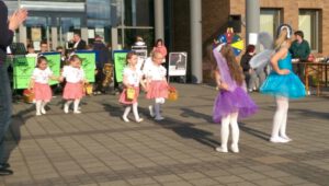 Foto: 2016 Maibaum