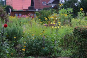 Foto: 2016 Warburg