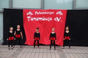 Foto: 2020 Sommerfest Falkenberg
