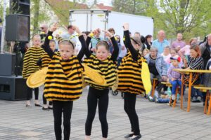 Foto: 2022 Maibaum