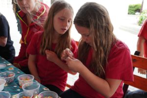 Foto: 2026 Ferienlager Tag 4