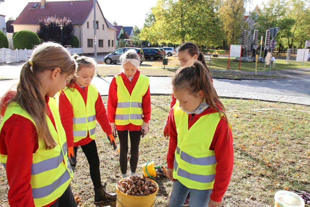 Foto: Kleine Hände, große Wirkung – die Tanzmäuse lassen Falkenberg aufblühen!