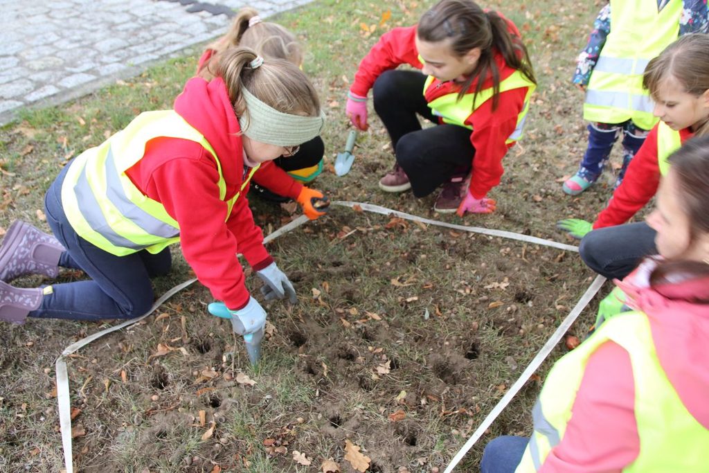 Foto: Kleine Hände, große Wirkung – die Tanzmäuse lassen Falkenberg aufblühen!