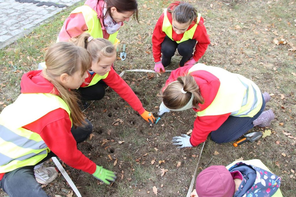 Foto: Kleine Hände, große Wirkung – die Tanzmäuse lassen Falkenberg aufblühen!