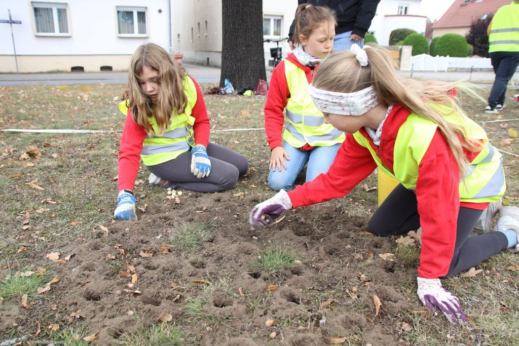 Foto: Kleine Hände, große Wirkung – die Tanzmäuse lassen Falkenberg aufblühen!